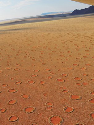 Illustration for article titled Are geoengineering insects behind Africa's bizarre fairy circles?